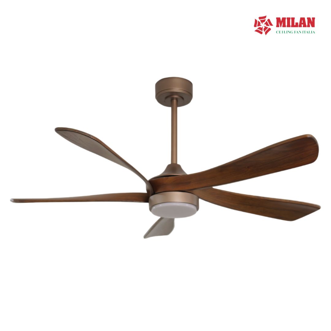 Mẫu Quạt Trần Phòng Khách Đẹp Được Nhiều Khách Hàng Quan Tâm