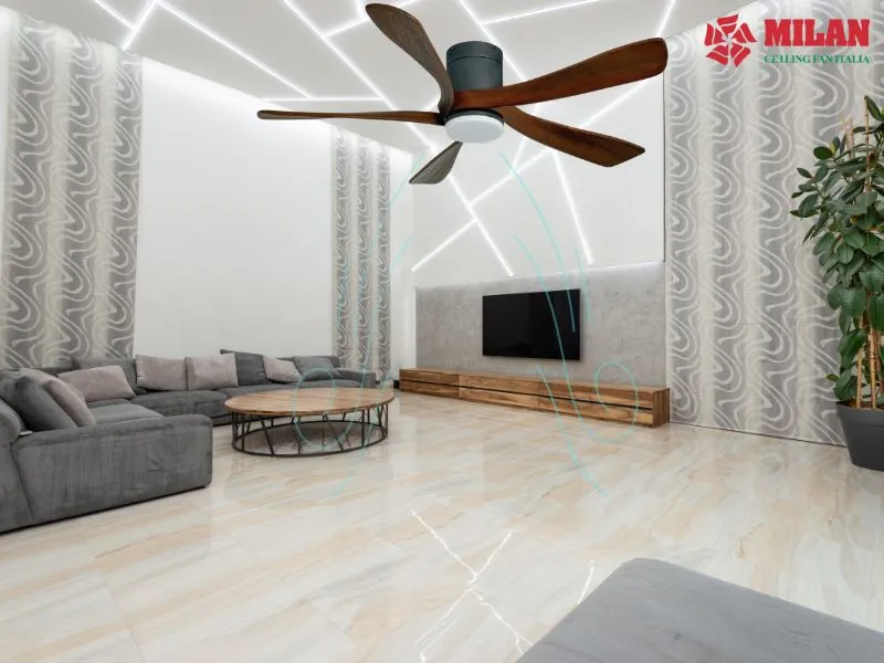Mua Quạt Trần Tiết Kiệm Điện Tại Hồ Chí Minh