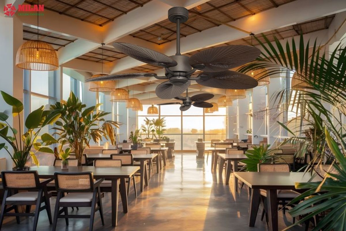 Quạt trần cho quán cafe và không gian mở