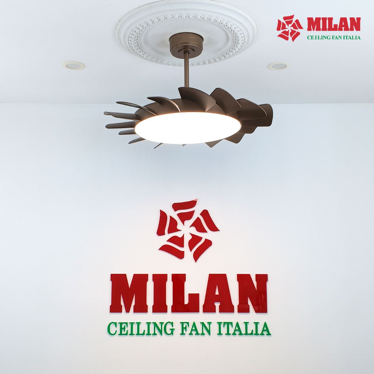 https://quattranitalia.vn/public/storage/product/17/01-11-1783392110.jpg