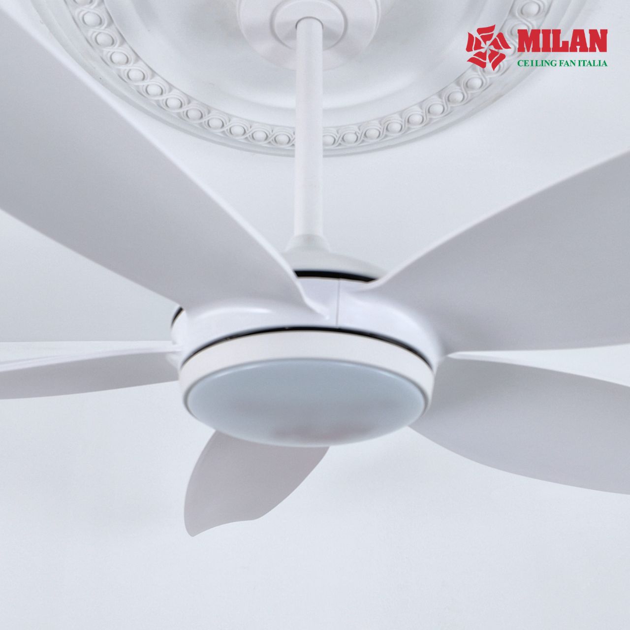 https://quattranitalia.vn/public/storage/product/17/01-2-1783327565.jpg