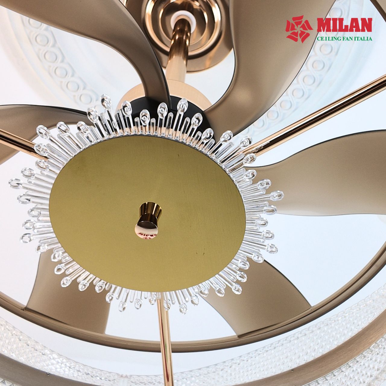 https://quattranitalia.vn/public/storage/product/17/012-5-1783413886.jpg