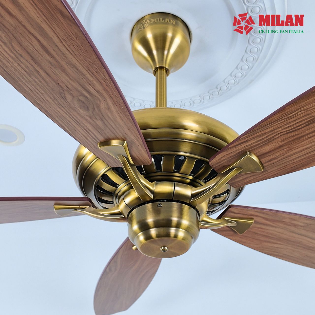 https://quattranitalia.vn/public/storage/product/17/01508-4-1783577302.jpg
