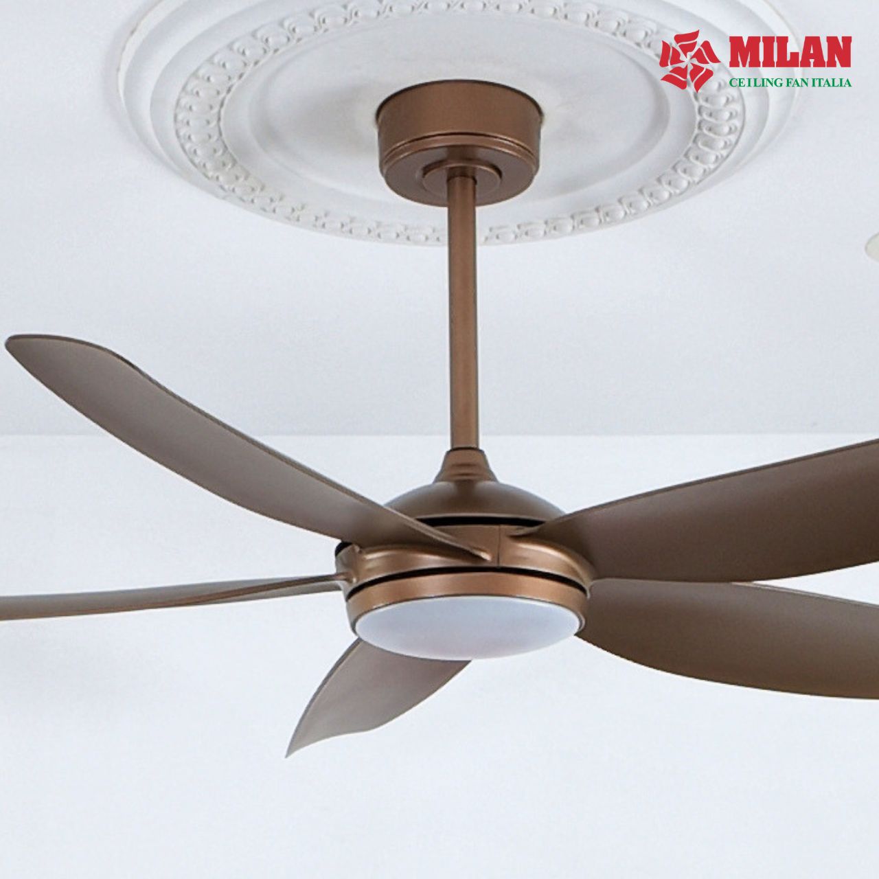 https://quattranitalia.vn/public/storage/product/17/017-10-1784529169.jpg