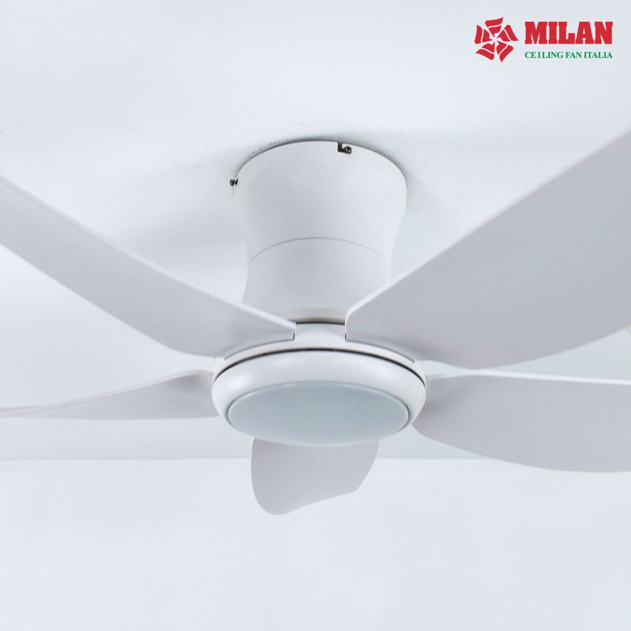 https://quattranitalia.vn/public/storage/product/17/022-17-1784787186.jpg