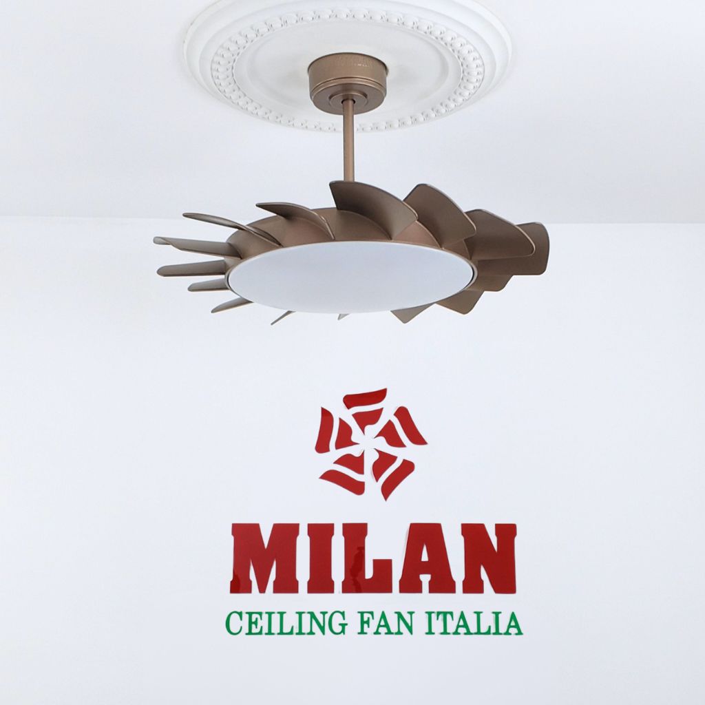 https://quattranitalia.vn/public/storage/product/17/023-7-1784888160-1789615084.jpg