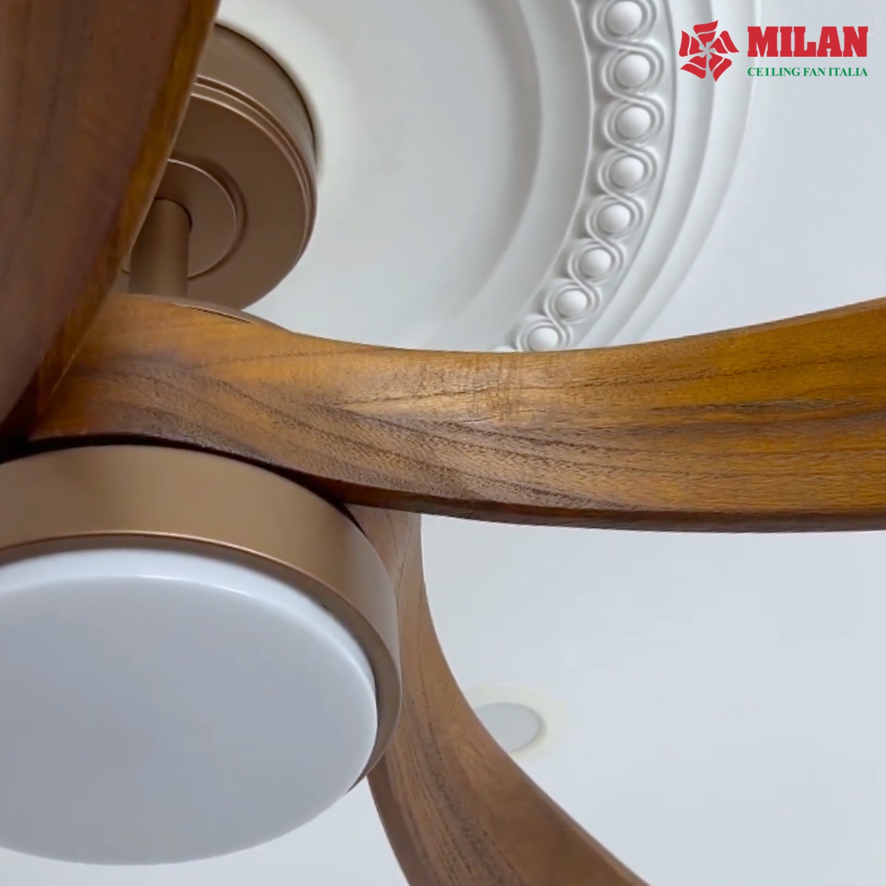 https://quattranitalia.vn/public/storage/product/17/102-15-1787724720.jpg
