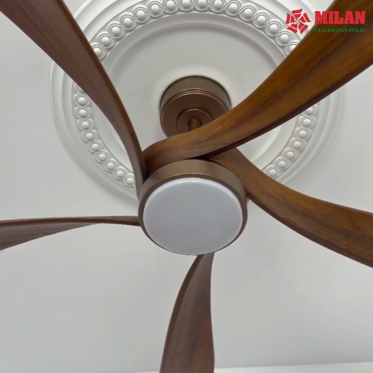 https://quattranitalia.vn/public/storage/product/17/102-16-1787724720.jpg