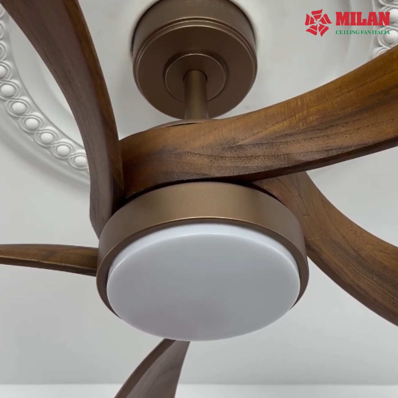 https://quattranitalia.vn/public/storage/product/17/102-2-1787711634.jpg