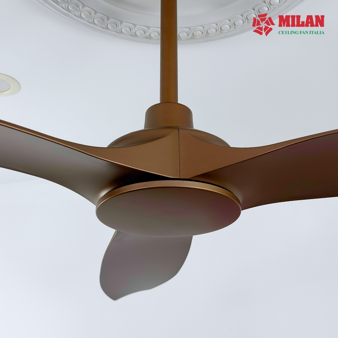 https://quattranitalia.vn/public/storage/product/17/123-1-1786088562.jpg