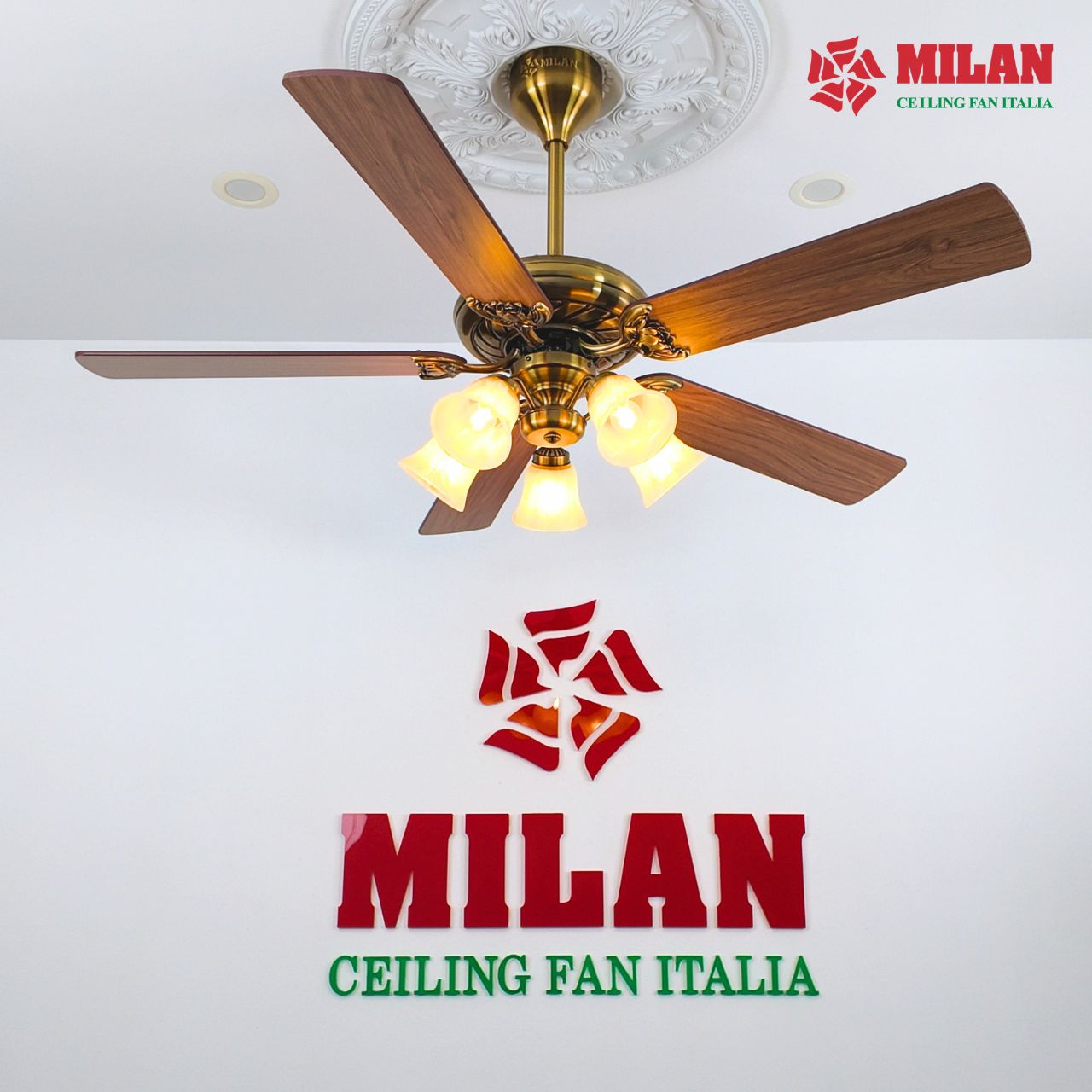 https://quattranitalia.vn/public/storage/product/17/1a3-2-1782550671.jpg
