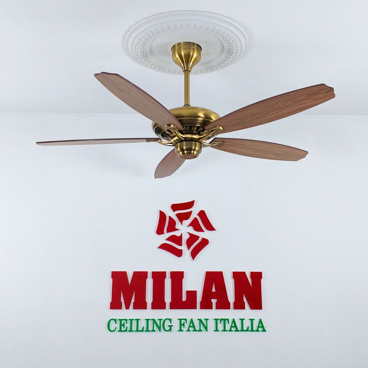 https://quattranitalia.vn/public/storage/product/17/508-kd-1789613980.jpg