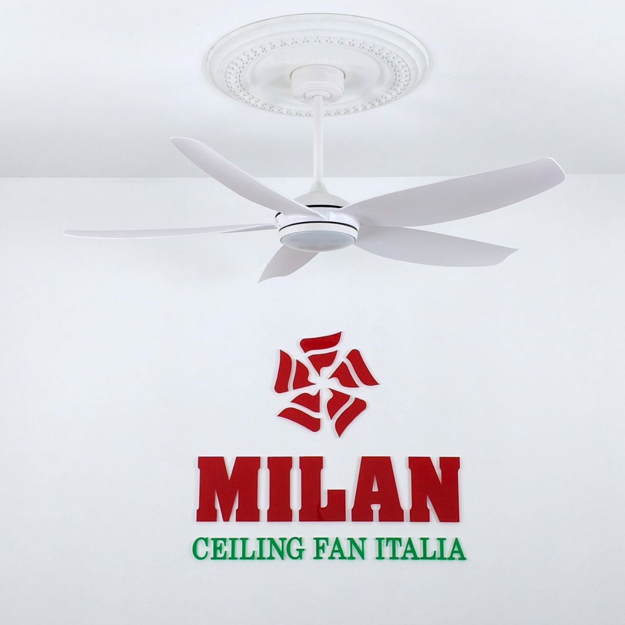 https://quattranitalia.vn/public/storage/product/17/528-tr-1789614765.jpg