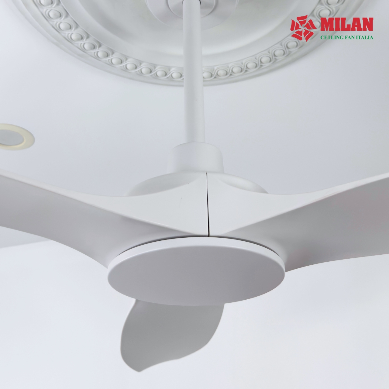 https://quattranitalia.vn/public/storage/product/17/533-8-1786084216.jpg