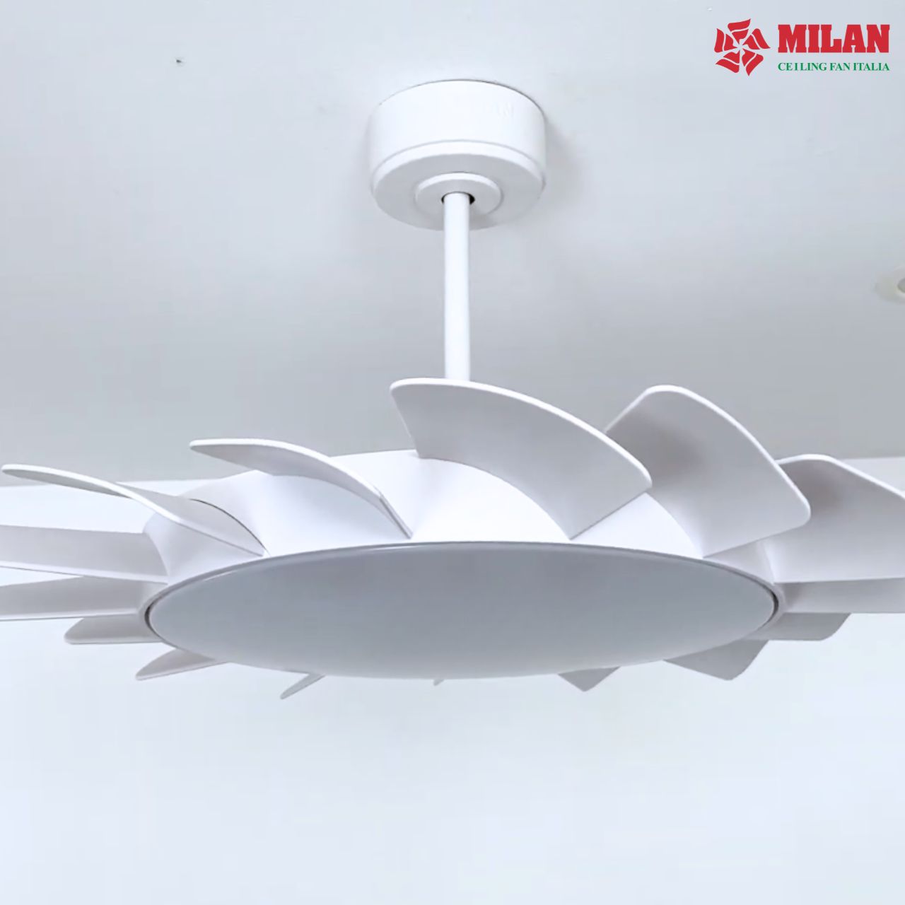 https://quattranitalia.vn/public/storage/product/17/566-4-1787021273.jpg
