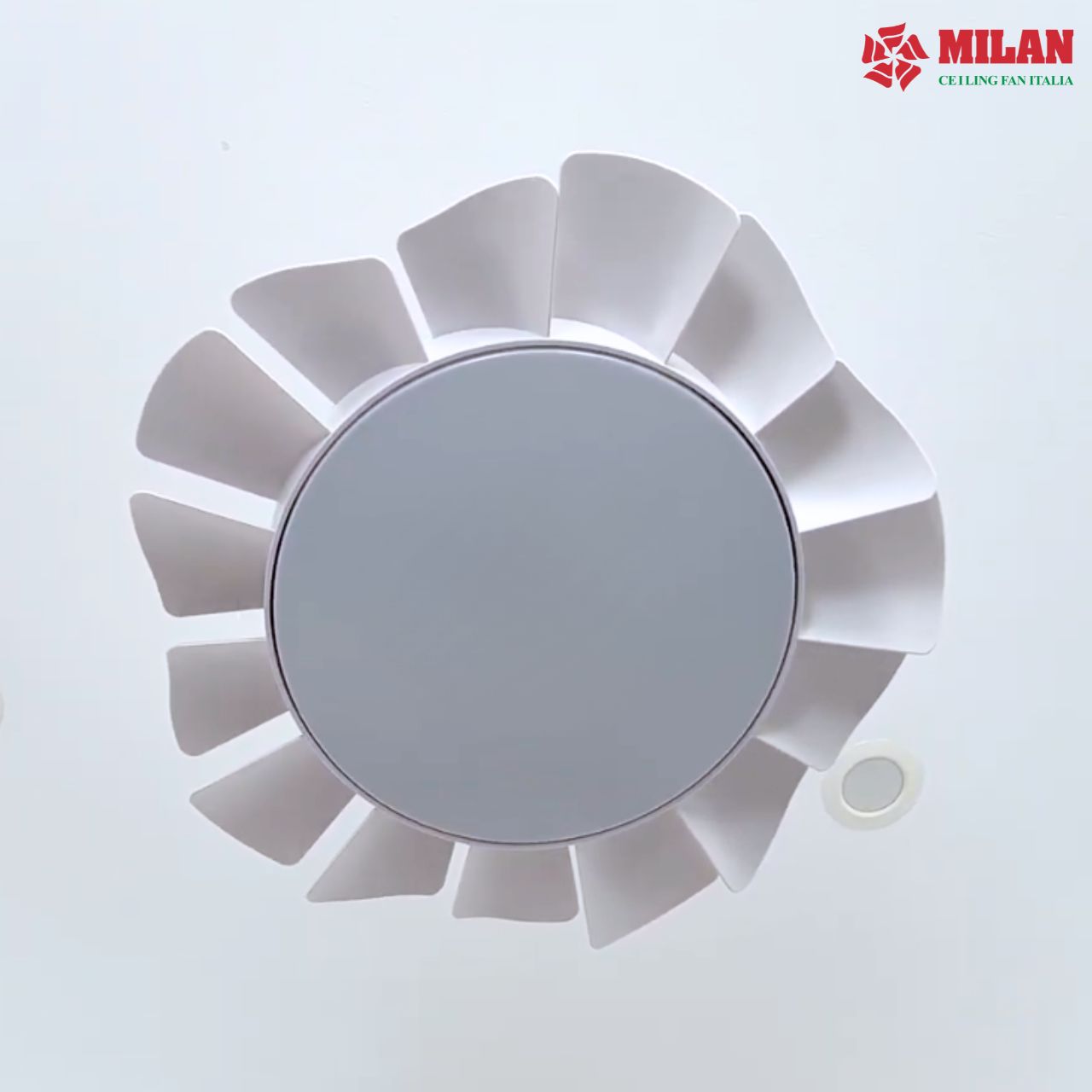 https://quattranitalia.vn/public/storage/product/17/566-5-1787021273.jpg