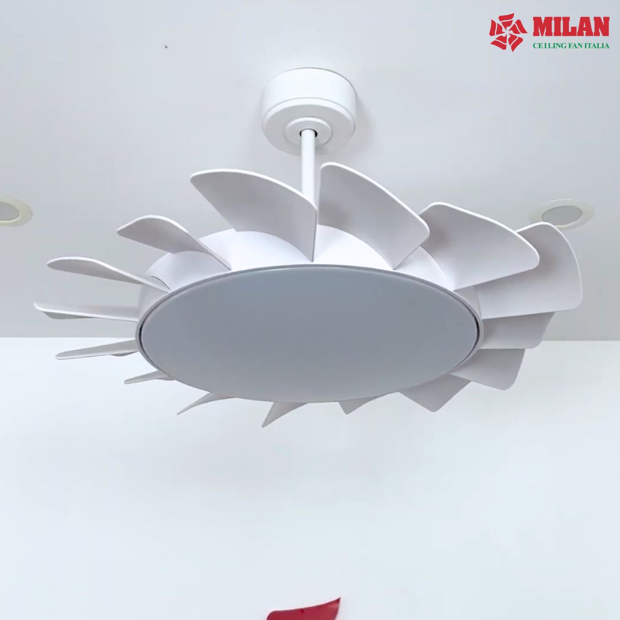 https://quattranitalia.vn/public/storage/product/17/566-6-1787021273.jpg