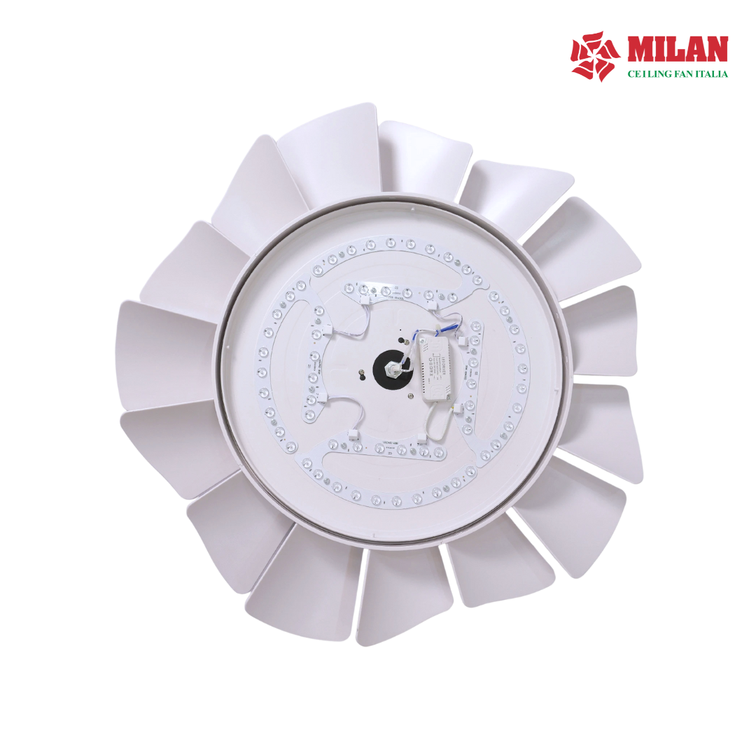 https://quattranitalia.vn/public/storage/product/17/566-6-1787021273.png