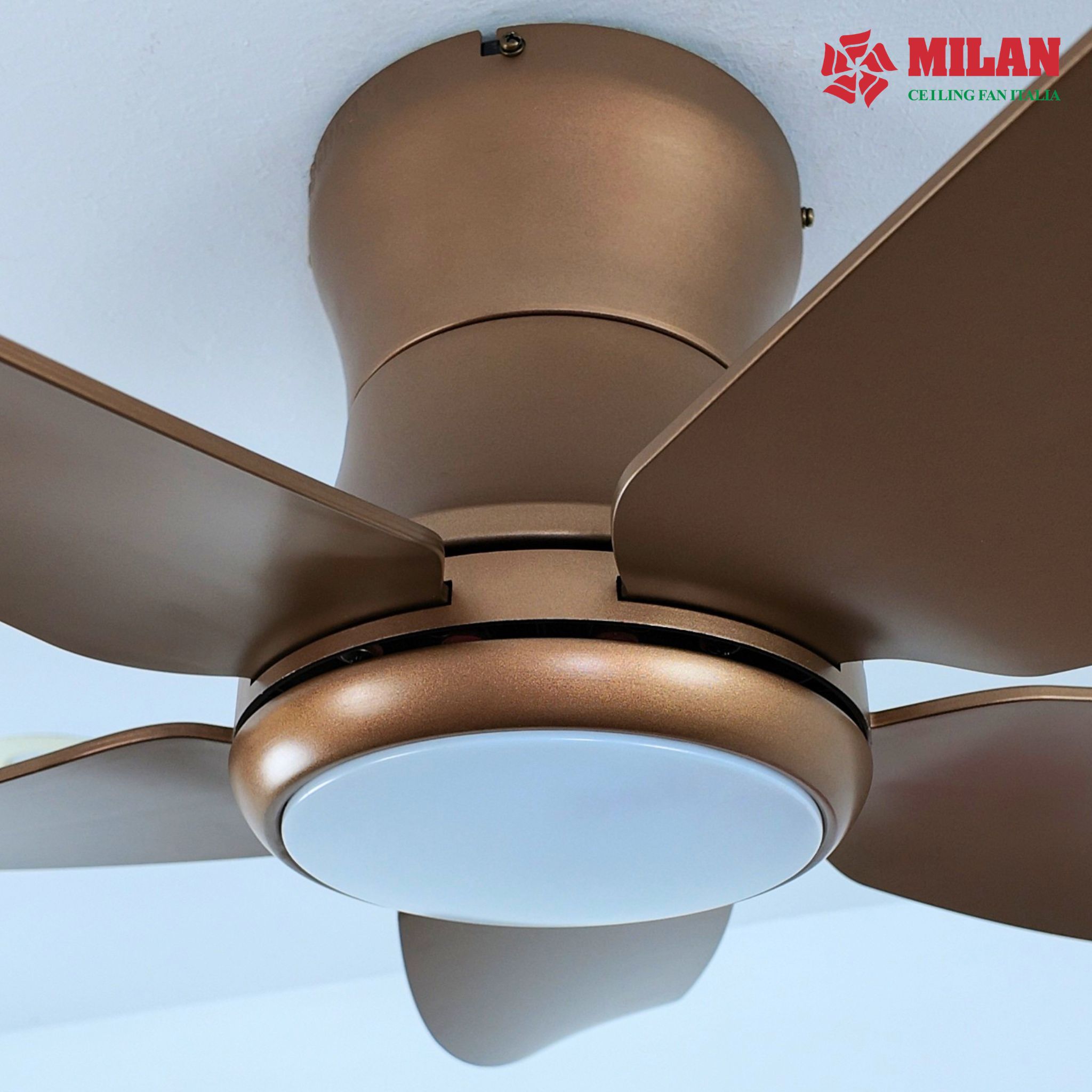 https://quattranitalia.vn/public/storage/product/17/74-1784778393.jpg