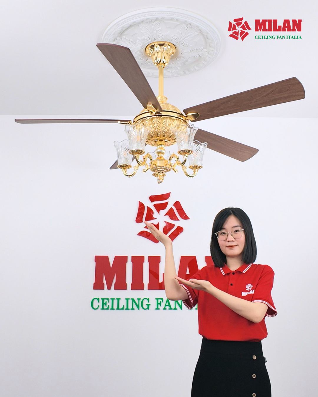 https://quattranitalia.vn/public/storage/product/17/962-moi-1781852071.jpg