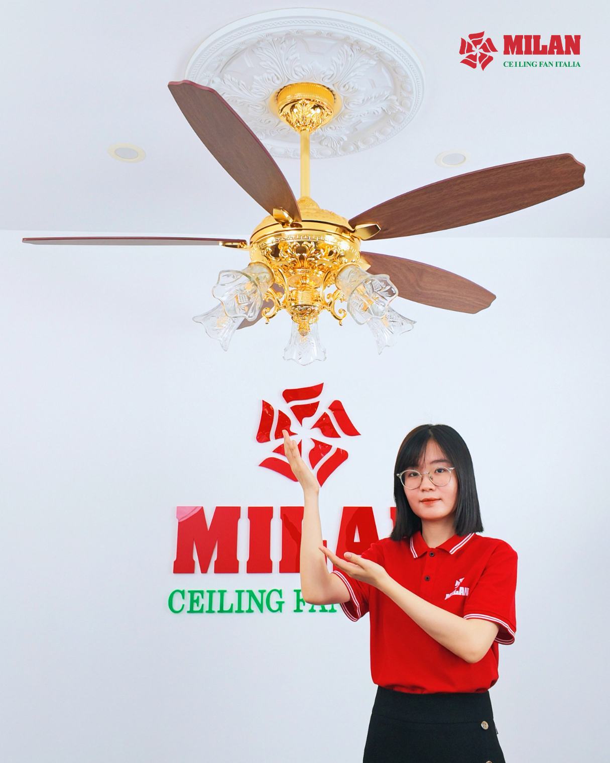 https://quattranitalia.vn/public/storage/product/17/966cd-1781769977.jpg