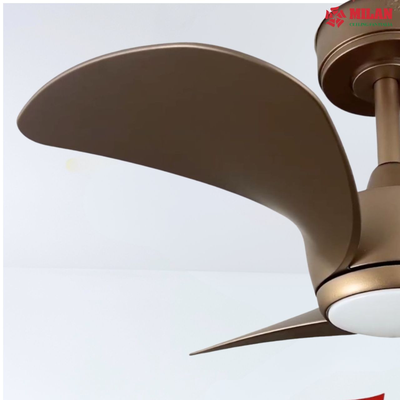 https://quattranitalia.vn/public/storage/product/17/fy526-4-1792381873.jpg