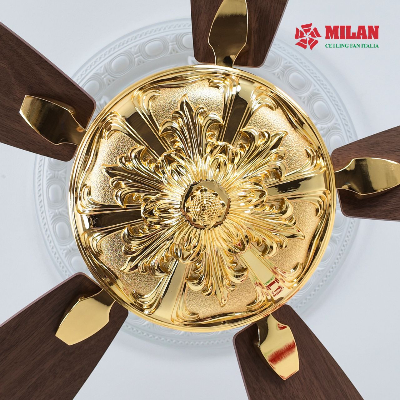 https://quattranitalia.vn/public/storage/product/17/fy961-6-1781851066.jpg