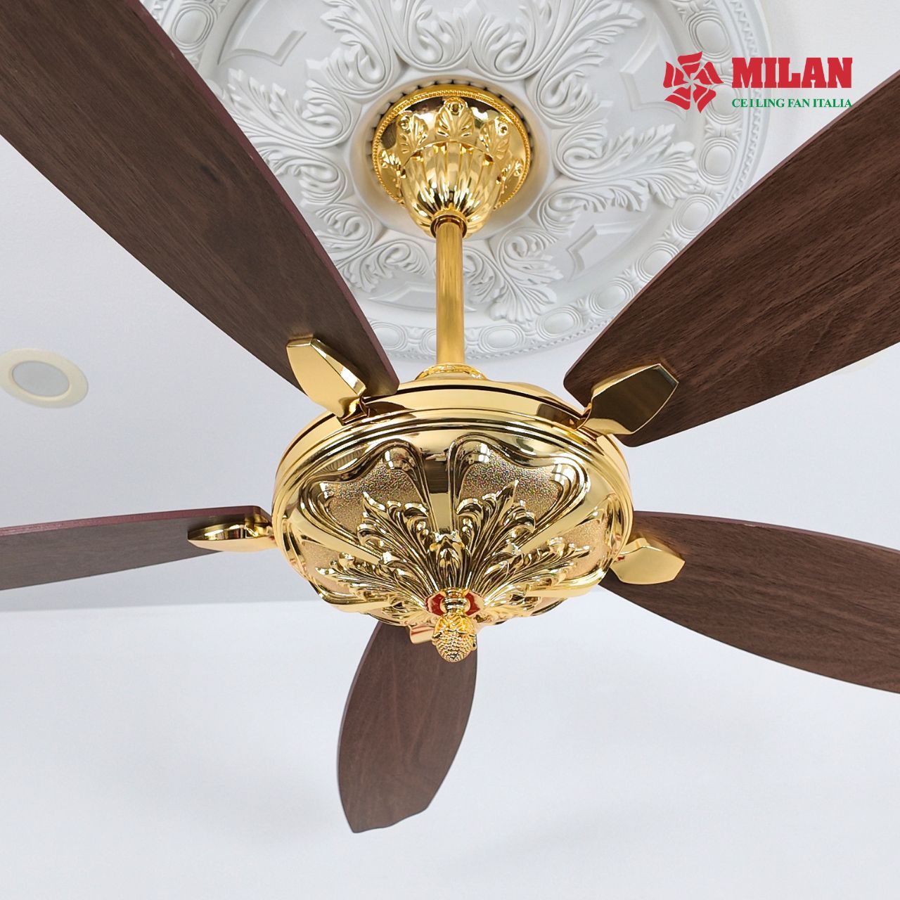 https://quattranitalia.vn/public/storage/product/17/fy961-7-1781851066.jpg