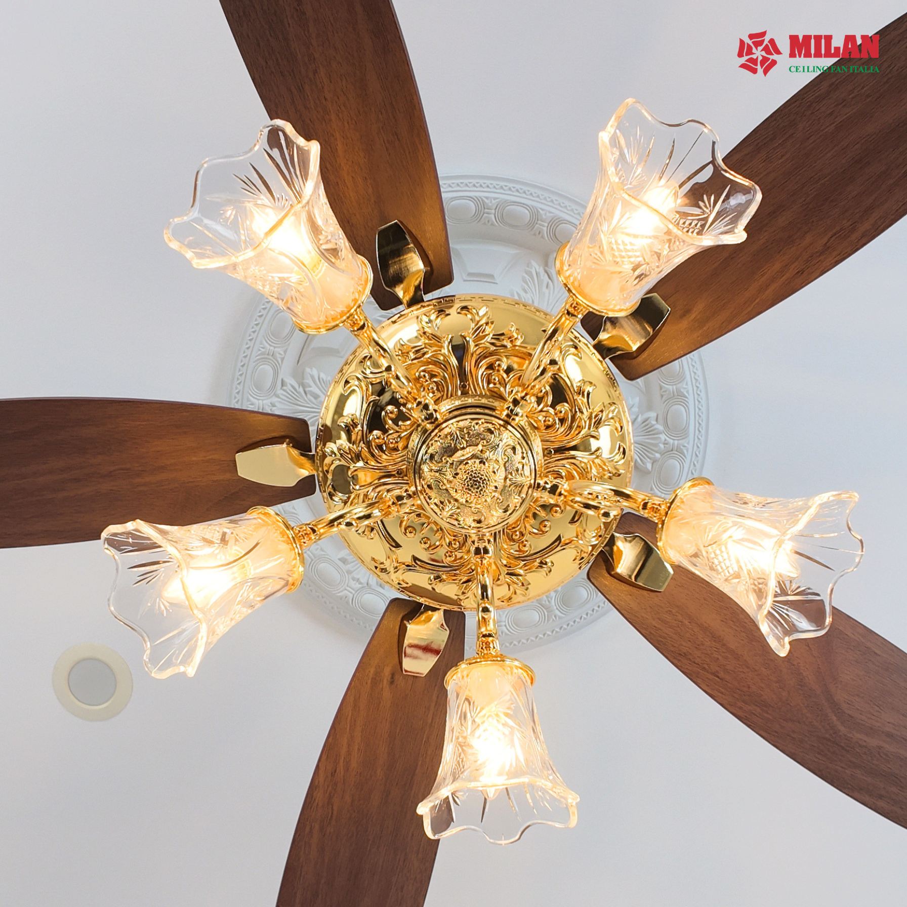 https://quattranitalia.vn/public/storage/product/17/fy966-cd-2-1781769862.jpg