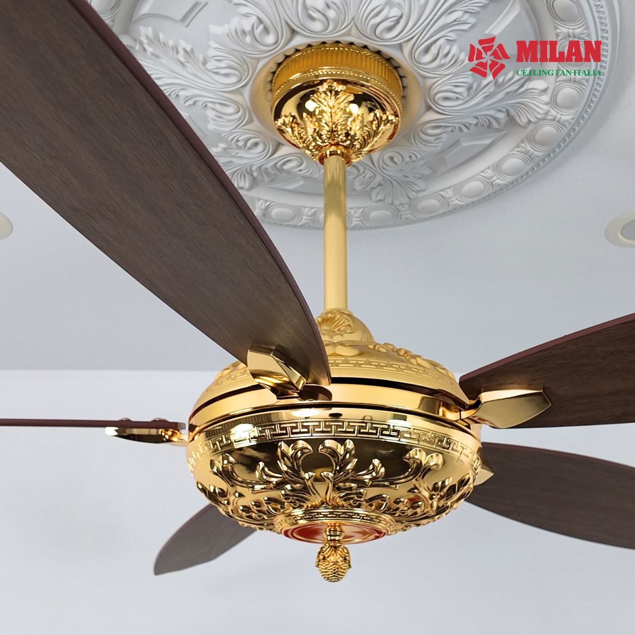 https://quattranitalia.vn/public/storage/product/17/fy966kd-2-1-1781775715.jpg