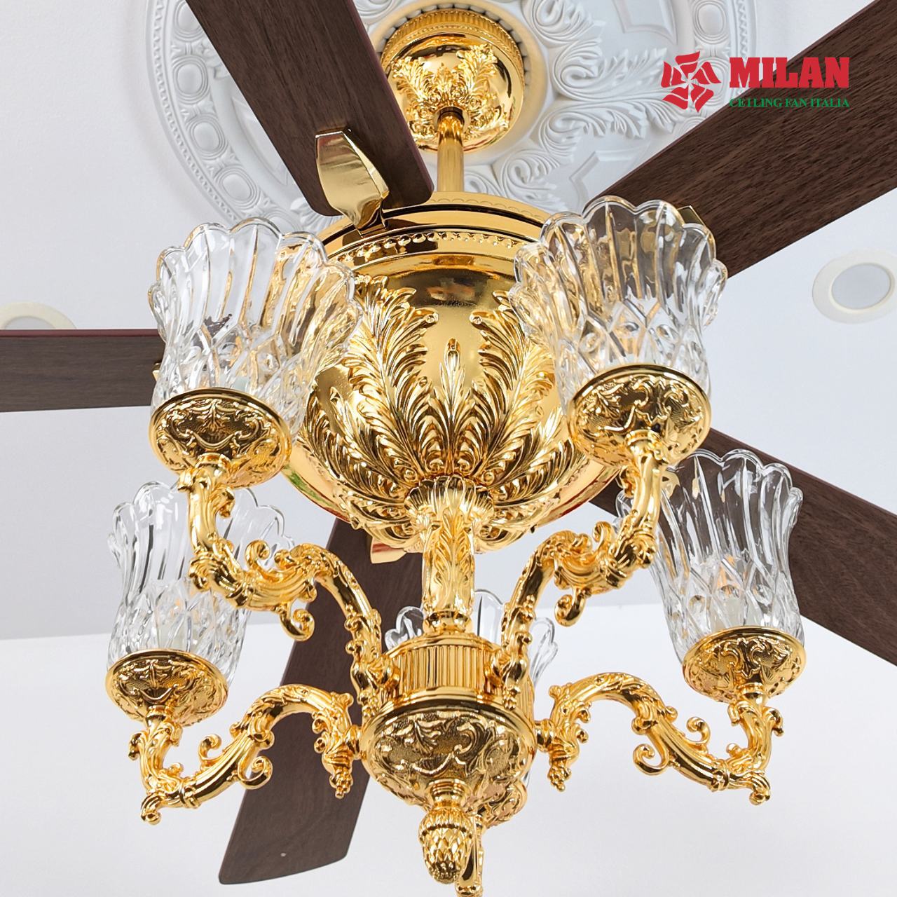 https://quattranitalia.vn/public/storage/product/17/fy968-1-1781771826.jpg