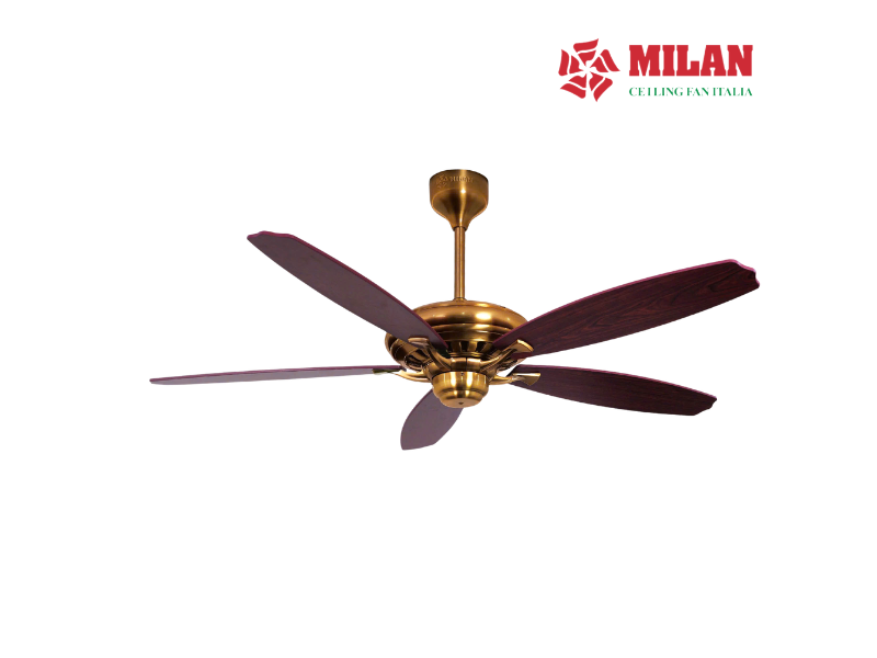 Quạt Trần 5 Cánh FY508 - KĐ