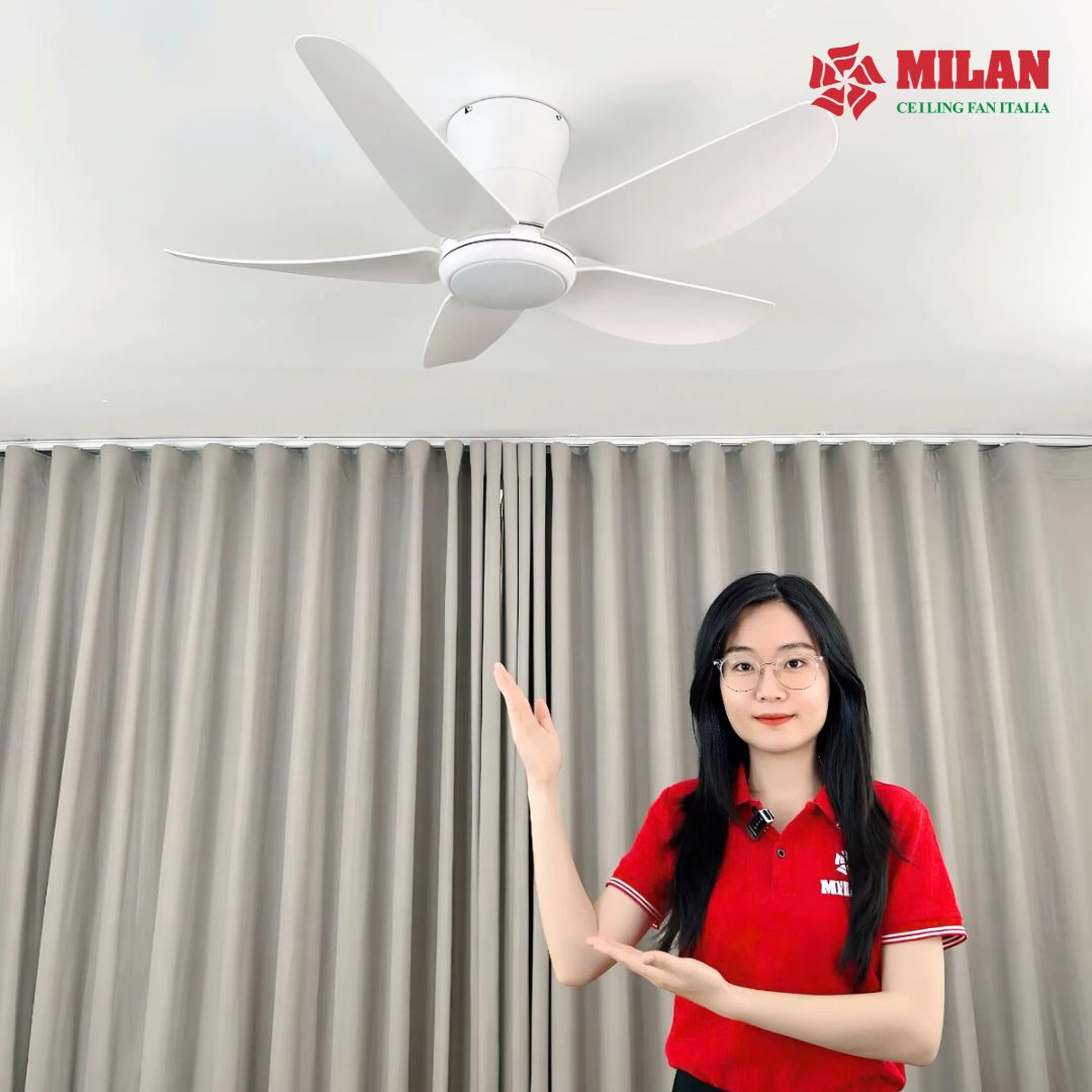 https://quattranitalia.vn/public/storage/product/17/quat-tran-fy588-mau-trang-8-1766462895.jpg