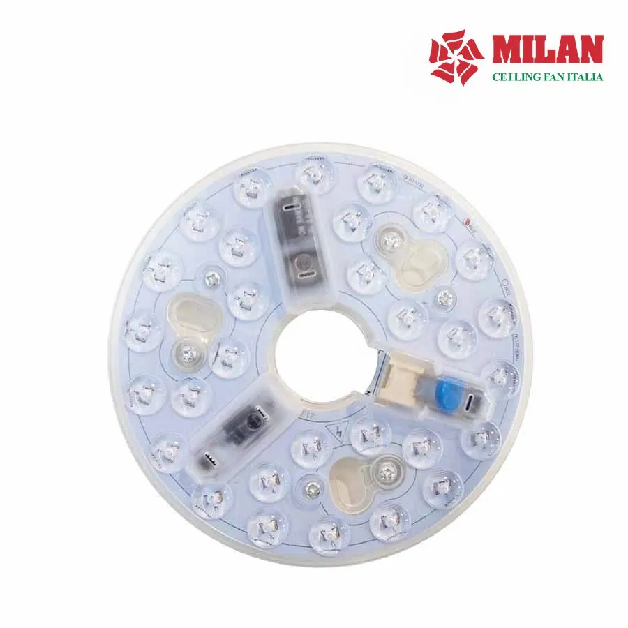 Đèn quạt trần trang trí 5 cánh có đèn FY507 - BN