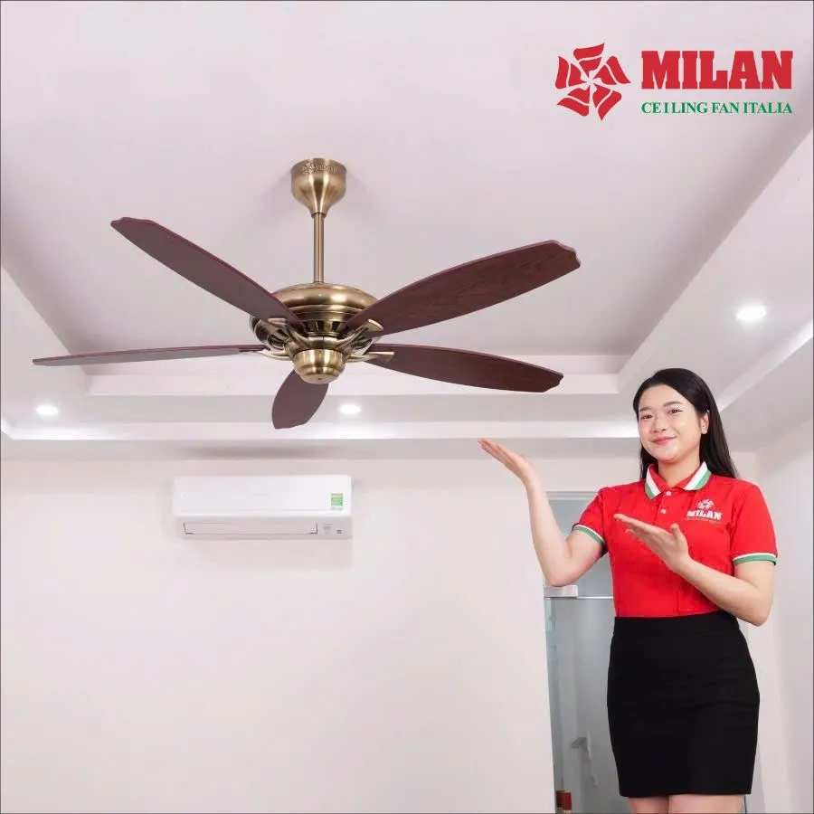 Không gian lắp đặt quạt trần trang trí cổ điển 5 cánh gỗ không đèn FY508 KĐ