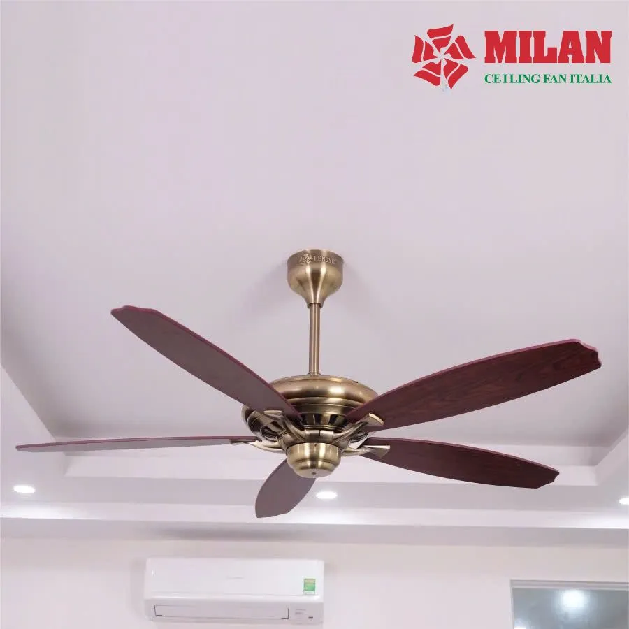 Tổng quan sản phẩm quạt trần trang trí cổ điển 5 cánh gỗ không đèn FY508 KĐ