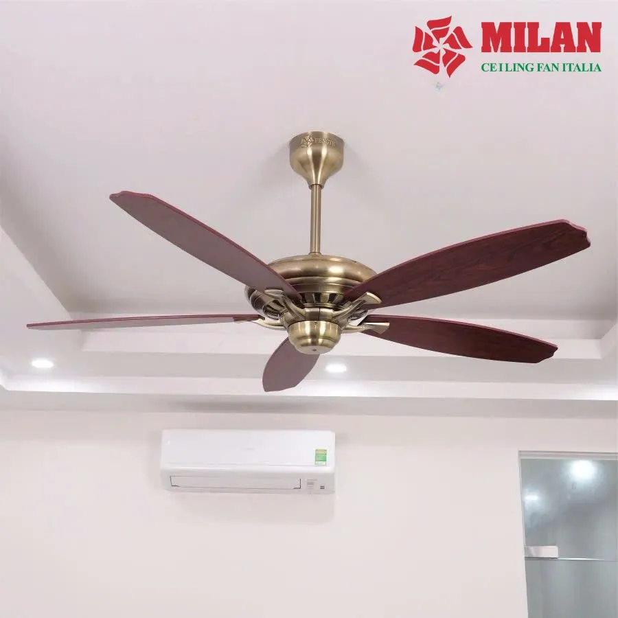 Quạt trần trang trí cổ điển 5 cánh gỗ không đèn FY508 KĐ có thiết kế độc đáo, mới lạ