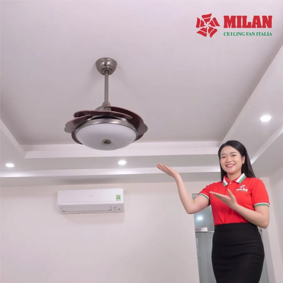 Quạt trần đèn trang trí giấu cánh FY555