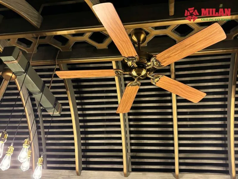 quạt trần nhập khẩu tiết kiệm điện