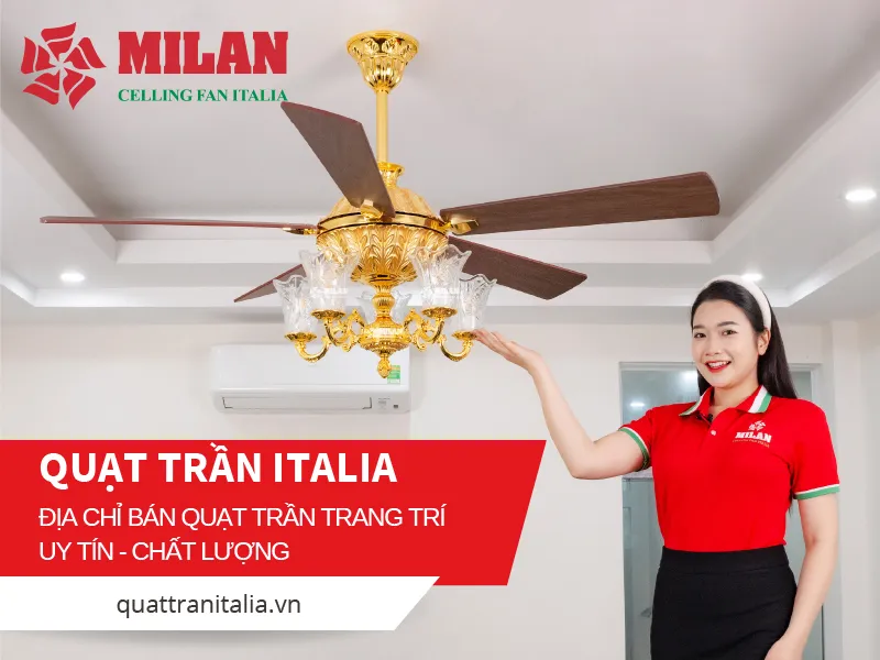 Địa chỉ bán quạt trần trang trí UY TÍN - CHẤT LƯỢNG nhất hiện nay