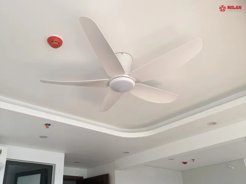 Chủ đầu tư tin chọn nhãn hiệu Milan để lắp đặt quạt trần cho chung cư mini.
