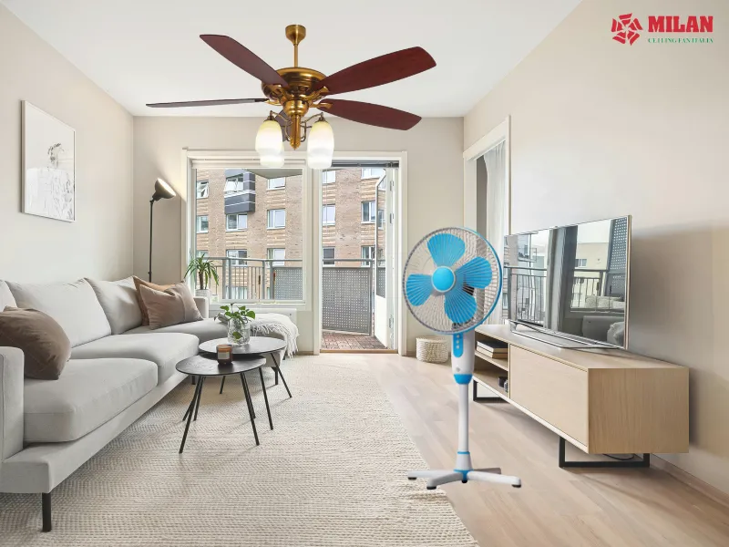 Quạt trần ít xuống cấp hơn do không cần di chuyển.