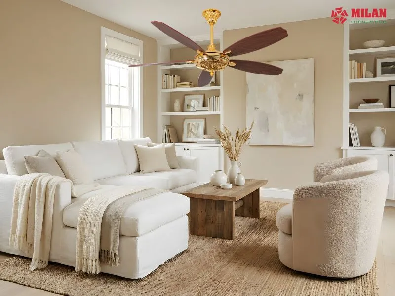 Thương hiệu quạt tốt chú trọng về chất lượng và thẩm mỹ.