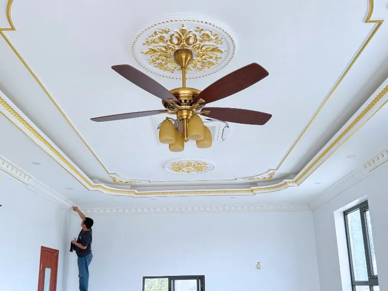 Quạt trần nhập khẩu được giới chuyên môn đánh giá cao.