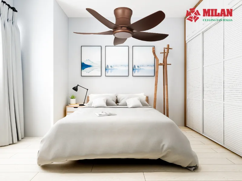 quat-tran-mini-fy588