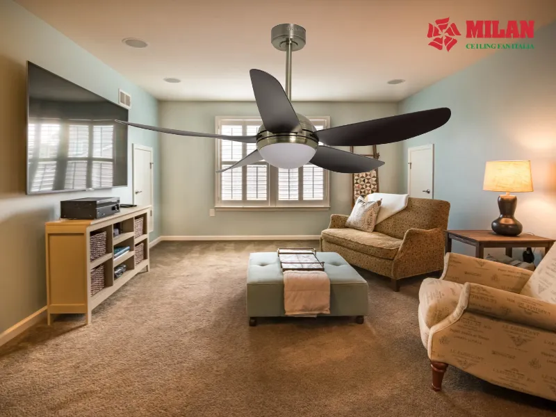 quat-tran-sai-canh-lon-fy509