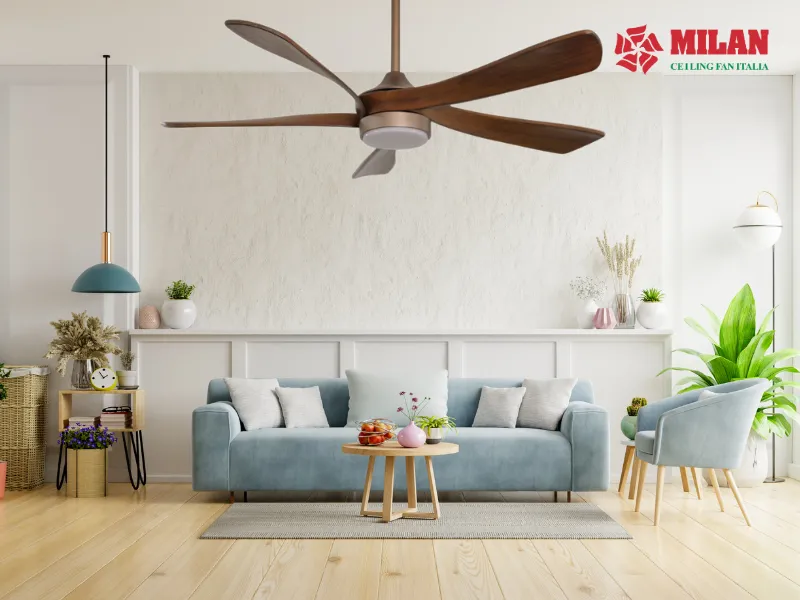 quat-tran-sai-canh-lon-fy516