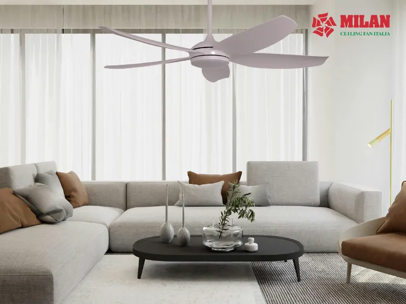 quat-tran-sai-canh-lon-fy528