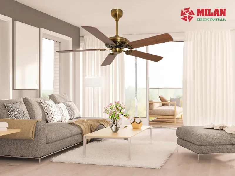 quat-tran-sai-canh-lon-fy503