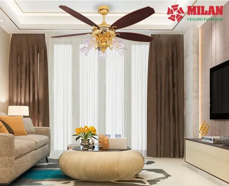Lắp Quạt Trần Cánh Gỗ Tại Bình Thạnh: Gợi Ý Chọn Mẫu Cho Từng Kiểu Nhà